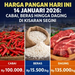 Read more about the article Harga Pangan Hari Ini 14 Januari 2026: Cabai, Beras hingga Daging di Kisaran Segini