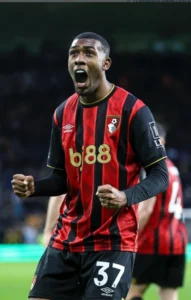 Read more about the article Bournemouth Tampil Efektif, Wolverhampton Tumbang 0-2